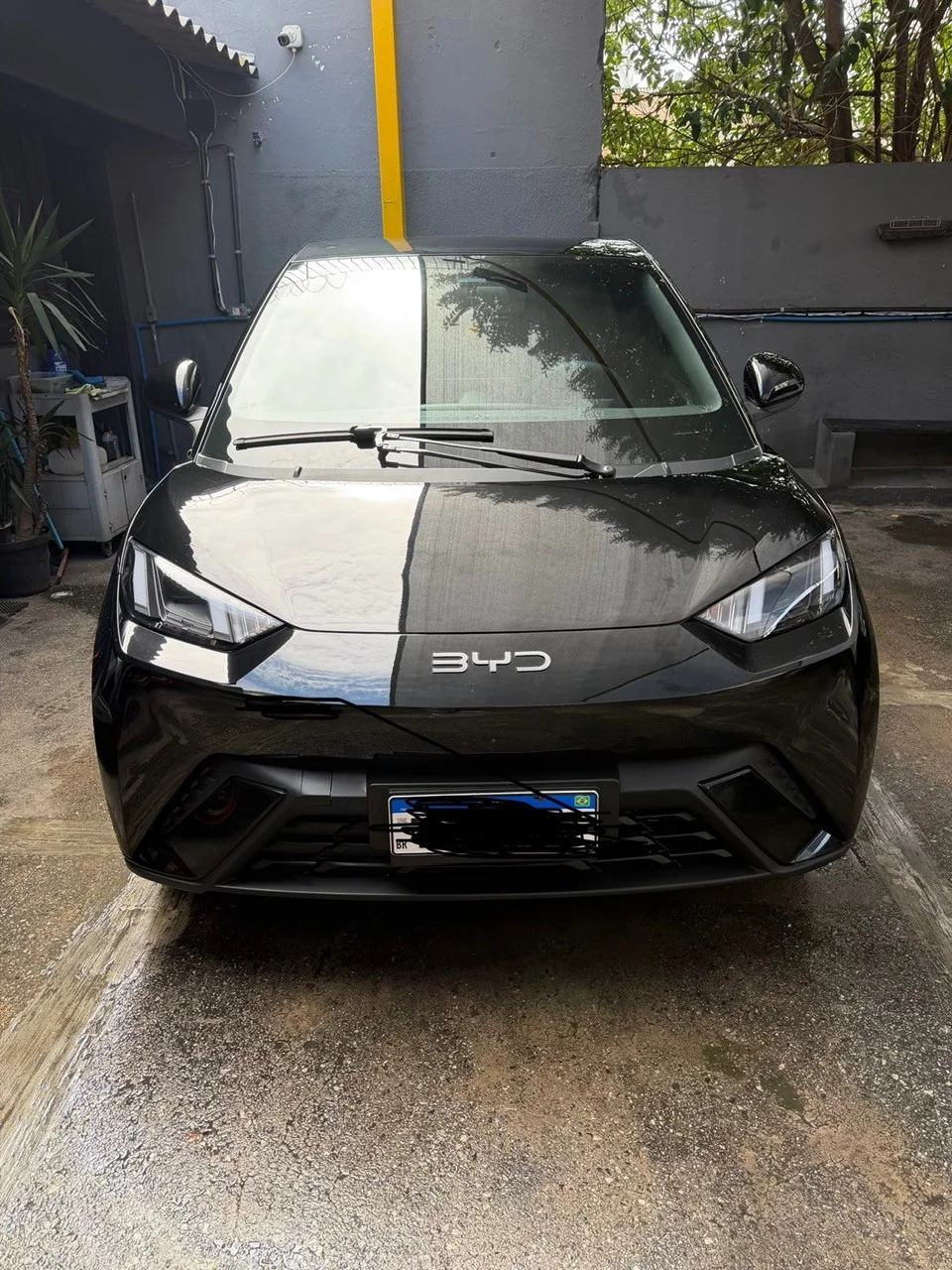 BYD DOLPHIN MINI GS 2026